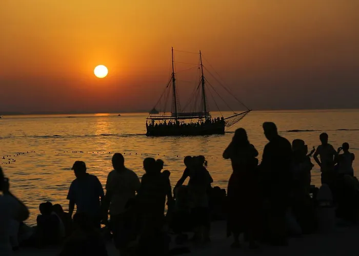 Bellevue Hill Ζαντάρ